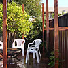 Ipe San Francisco